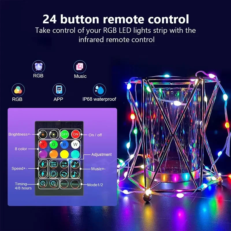 Dreamcolor Rgb Led Strip WS2812B Bluetooth Smart String Fairy Lights Christmas Garland Light Waterproof for Party Curtain Room